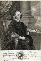 William Harvey, medico inglese