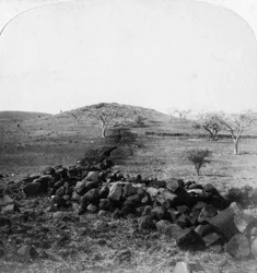 Trincee boere e cresta di Harts Hill, scena della famosa carica della Brigata Irlandese, Colenso, 1901
