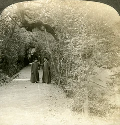 Bower di Sant
