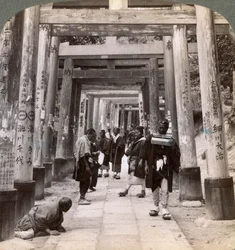 Andare e venire sotto lunghe file di torii sacri, tempio shintoista di Inari, Kyoto, Giappone, 1904