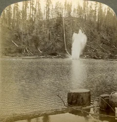 Scivolo di tronchi, Oregon, USA