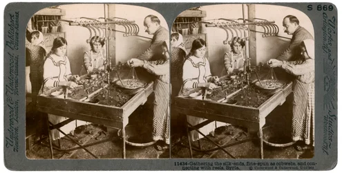 Produzione di seta, Siria, 1900
