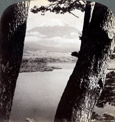Monte Fuji, visto da nord-ovest, attraverso i pini al Lago Motosu, Giappone, 1904