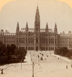 Il grande Rathaus, Vienna, Austria Torre alta 320 piedi