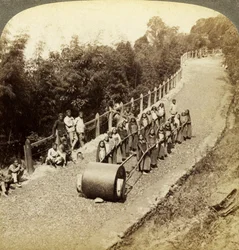 Donne che lavorano sulla Darjeeling Highway, India