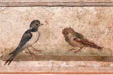 Rondine e passero, pittura murale romana da Boscoreale vicino a Pompei, I secolo