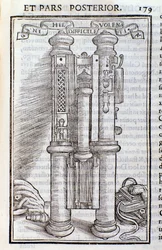 Un Phagotus (Phagotum). Pagina da Introductio di Theseus Ambrosius Albonesius