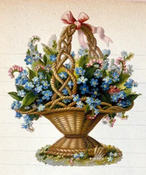Un cesto di fiori