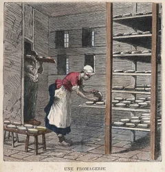 Una fabbrica di formaggio. Illustrazione del XIX secolo. Collezione Bianchetti