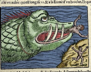Un mostro marino attacca un nuotatore vicino alla costa della Norvegia. Incisione di Olaus Magnus (1490 - 1557), religioso e geografo svedese, "Historia de Gentis Septentrionalibus", Venezia