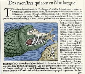 Un mostro marino attacca un nuotatore vicino alla costa della Norvegia. Incisione di Olaus Magnus (1490-1557), religioso e geografo svedese, 