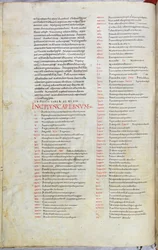 Una pagina della Bibbia dell