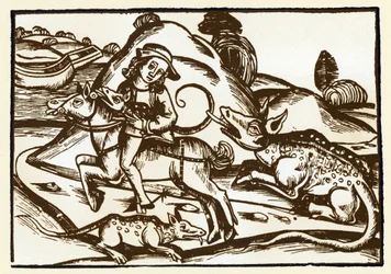 Un viaggiatore incontra due tigri mostruose con l