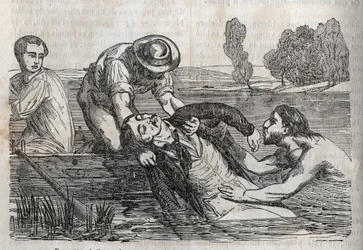 Medicina d