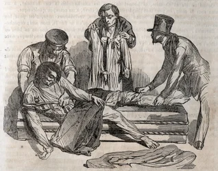 Medicina d