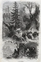 Arpa eolia - strumento musicale suonato dal vento - incisione del 1860