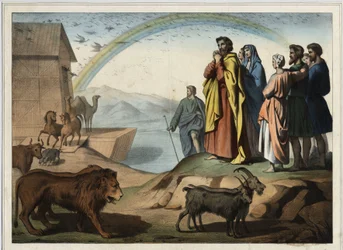Dopo il diluvio, gli animali scendono dall