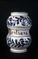 Albarelle: antico vaso farmaceutico del XVI secolo contenente genziana. Museo della Scienza e della Tecnologia, Milano.