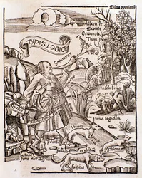 Allegoria della logica da Margarita philosophica di Gregor Reisch (1508)