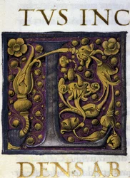 Alfabeto: lettera miniata L
