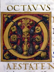 Alfabeto: lettera miniaturizzata O