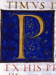 Alfabeto: lettera miniata P
