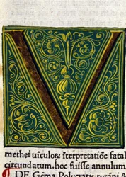 Alfabeto: lettera miniaturizzata V