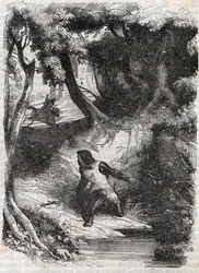 Astolfo al bordo di una fontana - incisione del 1851 da 