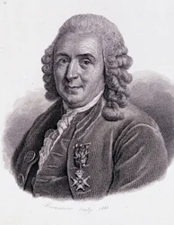 Carl Von Linné naturalista e scrittore svedese (1707 - 1778) - in 