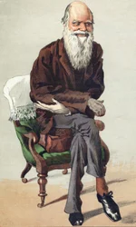 Charles Darwin (1809 - 1882), illustrazione in "Vanity Fair" del 30 settembre