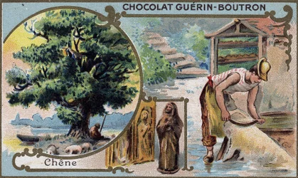 Cromolitografia del packaging dei cioccolati Guérin Boutron. XIX secolo.
