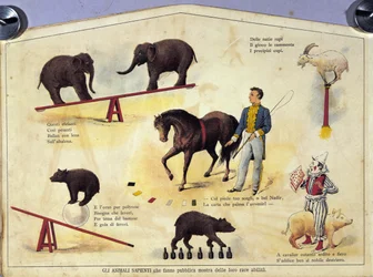 Circo: una tavola che rappresenta diversi tipi di spettacoli di animali addestrati con elefanti, una capra, un orso, cavalli e un maiale. Illustrazione del XIX secolo