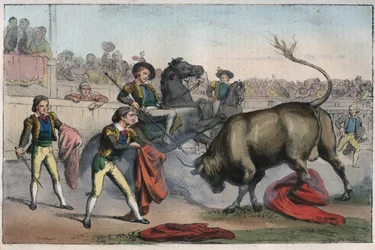 Corrida in Spagna: il picador - Toro che carica un picador - incisione da "Usi e Costumi di Tutti i Popoli dell