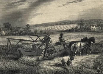 La mietitrice di Cyrus McCormick del 1831, esposta alla mostra del Crystal Palace del 1851.