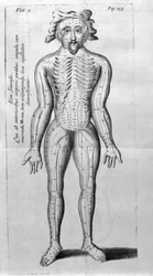 De Acupunctura di W.Ten Rhijne. Londra 1683. Primo testo occidentale sull