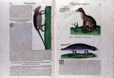 Doppia pagina dell