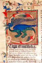 Drago decorato Lettrine (dettaglio) di un manoscritto del XIV secolo