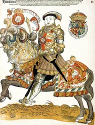 Re Enrico VIII d