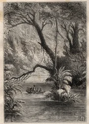 Spedizione in America (1799-1804) di Alexander von Humboldt (1769-1859) e Aimé Bonpland (1773-1858): gli esploratori discendono l
