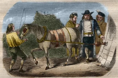 Esperimento di Otto von Guericke.
