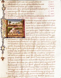 Contadini che piantano vigneti