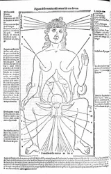 Apparato riproduttivo femminile - nel Trattato di Medicina di Gerolamo Cardano, Firenze 1585.
