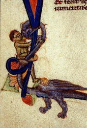 Combattimento tra un drago e un uomo (dettaglio) di una miniatura del XIV secolo