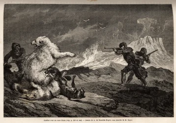 Lotta con un orso polare che protegge il suo cucciolo, il branco di cani la assale e i cacciatori, armati di fucili, aspettano il momento giusto per sparare. Incisione per illustrare il viaggio al mare libero del polo artico, del Dottor Hayes, chirurgo del