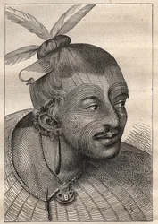 Primo viaggio (1768-1771) del capitano James Cook (1728-1779): testa tatuata di un neozelandese - illustrazione tratta da 