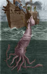 Pesca di un calamaro gigante dalla corvetta francese l
