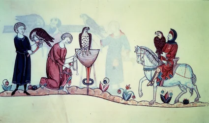 Federico II imperatore tedesco nel 1212. Miniatura da un trattato di falconeria del XIII secolo. Parigi, B N