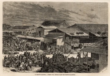 Veduta generale del mercato del pesce, con il porto delle barche delle merci, le baracche e le bancarelle di presentazione dei prodotti, e il palco per la vendita alle case d