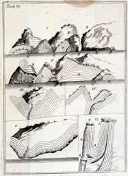 Carta geologica che mostra i movimenti tettonici. (foglio non rintracciato)