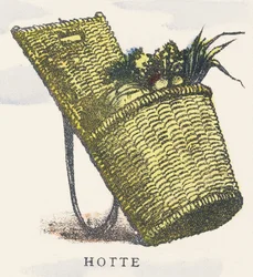 H: cappuccio